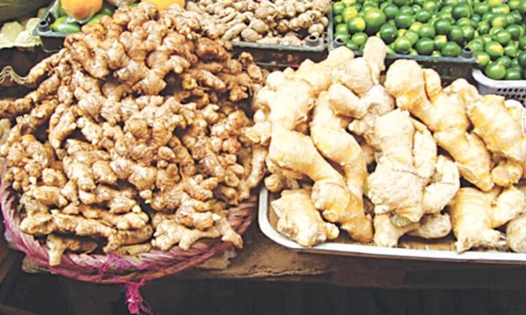 Ginger
