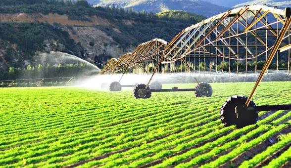 خیبرپختونخوا میں 10,930 ایکڑ زرعی اراضی کو سیراب کرنے کے لیے آبپاشی منصوبہ تیار 1 خیبرپختونخوا میں 10,930 ایکڑ زرعی اراضی کو سیراب کرنے کے لیے آبپاشی منصوبہ تیار