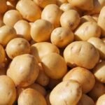 پاکستانی آلو کو 36 عالمی منڈیوں تک برآمدی رسائی حاصل