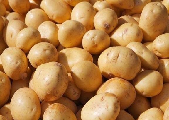 پاکستانی آلو کو 36 عالمی منڈیوں تک برآمدی رسائی حاصل