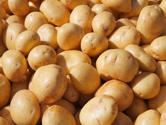 پاکستانی آلو کو 36 عالمی منڈیوں تک برآمدی رسائی حاصل