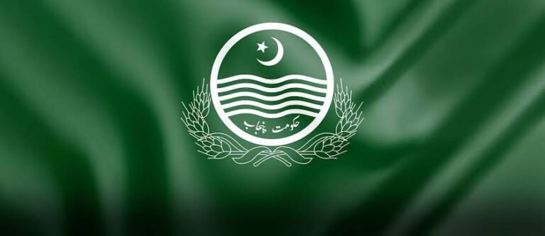 پنجاب کے ای بز پلیٹ فارم پر 1 لاکھ 46 ہزار سے زائد کاروباری درخواستوں پر کارروائی مکمل