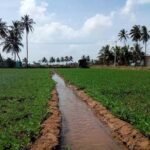 کسانوں کو روایتی سیلابی آبپاشی سے بتدریج زیادہ موثر طریقوں کی طرف منتقل ہونے کی ضرورت ہے، ماہرین آبی وسائل